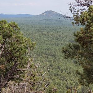 Meet your Posher, Alissa